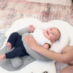 Babymoov Cloud Babynestje