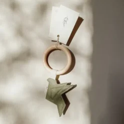 BEZISA Birds Rammelaar Pistache Green