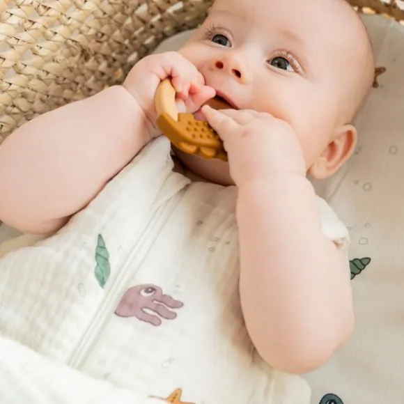 Done By Deer Friends Bijtring Mustard / Powder 2 Stuks