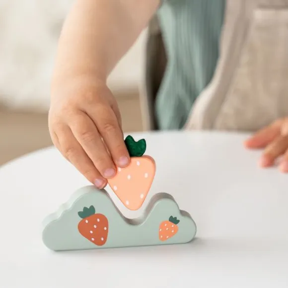 Done By Deer Speelset - Tiny Farm Pigee - Colour Mix