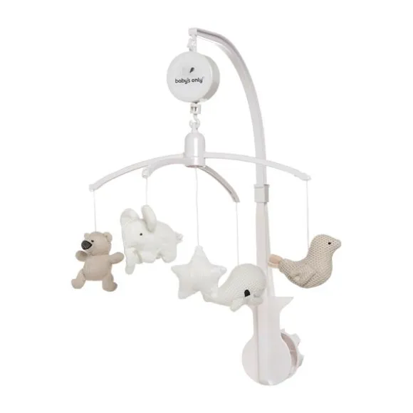 Europe Baby Evy Box Oatmeal