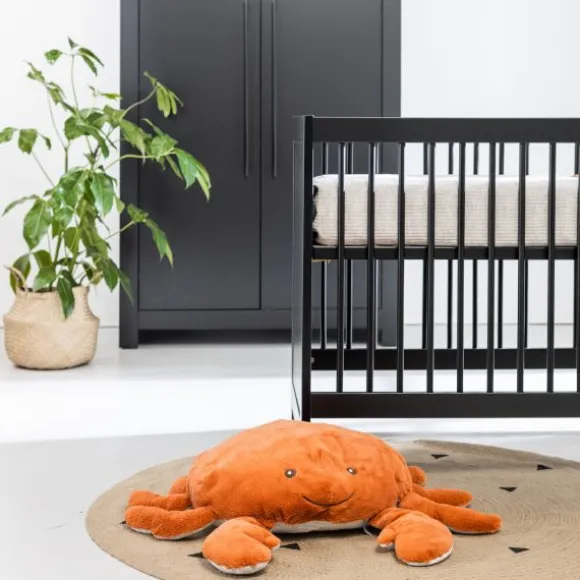 Europe Baby Vittoria III Kledingkast 2-Deurs Zwart