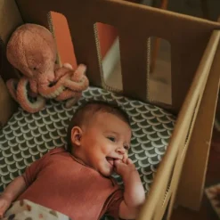 EVE Kids HAP Babywieg - Paper Crib - Karton - 40x80 cm