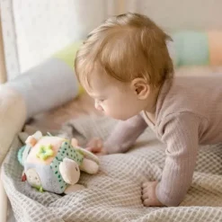 Fehn Activity Hangspeeltje - Schildpad - Children Of Sea