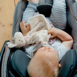 Fehn Knuffeldoekje - Zeepaardje