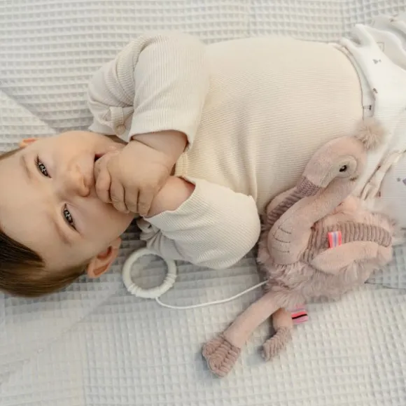 Fehn Muziekdoosje – Luiaard