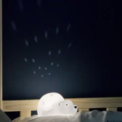 Flow Amsterdam Bjorn Projector