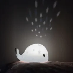 Flow Amsterdam Moby Projector