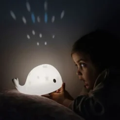 Flow Amsterdam Moby Projector