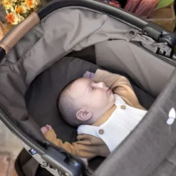 Joie Honour Reiswieg - Thunder