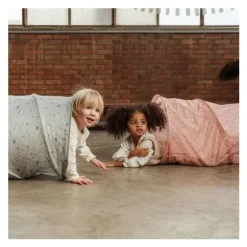 Little Dutch Fairy Garden Kruiptunnel