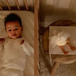 Little Dutch Newborn Knuffelgans Licht & Geluid