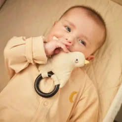 Moonboon Rammelaar - Vogel