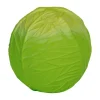 Oli & Carol Baby Bal - Green Cabbage