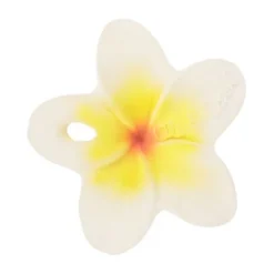 Oli & Carol Hawaï The Flower Bijtspeeltje