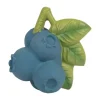 Oli & Carol Jerry The Blueberry Bijtspeeltje