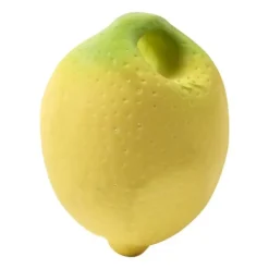 Oli & Carol John Lemon Mindou Bijtspeeltje