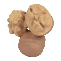 Oli & Carol Nutty The Nut Bijtspeeltje