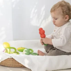 Oli & Carol Rammelaar - Tomaat