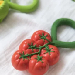 Oli & Carol Rammelaar - Tomaat