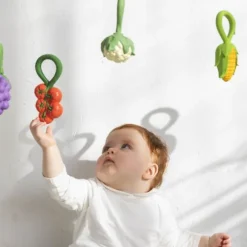 Oli & Carol Rammelaar - Tomaat