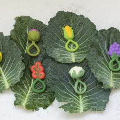 Oli & Carol Rammelaar Bijtspeeltje - Corn