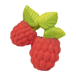 Oli & Carol Valery The Raspberry Bijtspeeltje