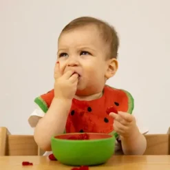 Oli & Carol Wally The Watermelon-Kale Bowl Set