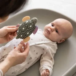 Sebra Activiteitenspeeltje - Turbo the Turtle - Met Spiegeltje