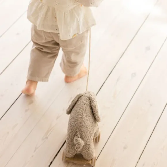 Sebra Trekdiertje - Fanto - Grijs