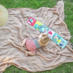 Taf Toys Koala Clip On Pram Boekje