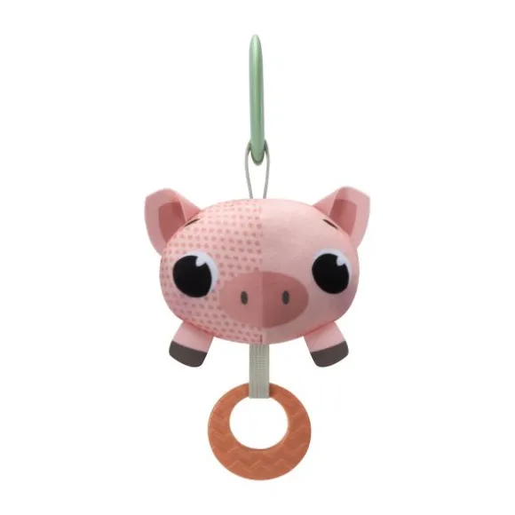 Tiny Love Farmers Funday Speelkleed