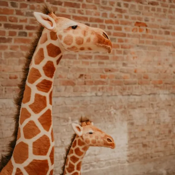 Wild & Soft Knuffel - Giraf - 195 cm